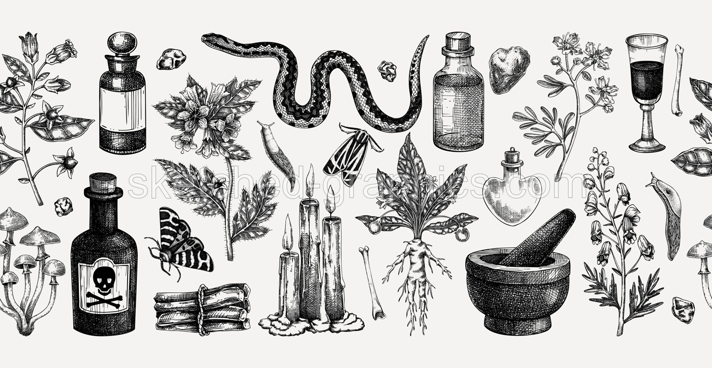 Witchcraft hand drawn vector illustrations. Bohemian seamless ribbon. Halloween background. Witch herbs, poisonous plants, magic ingredients sketches. NOT AI generated Illustration